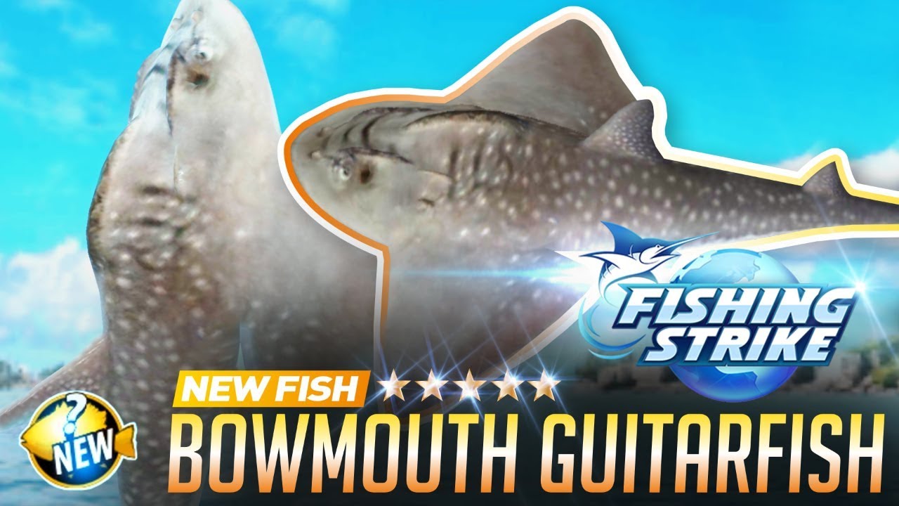 《釣魚大亨 Fishing Strike》 New fish Bowmouth guitarfish | Shark Ray | Mud Skate | Catch