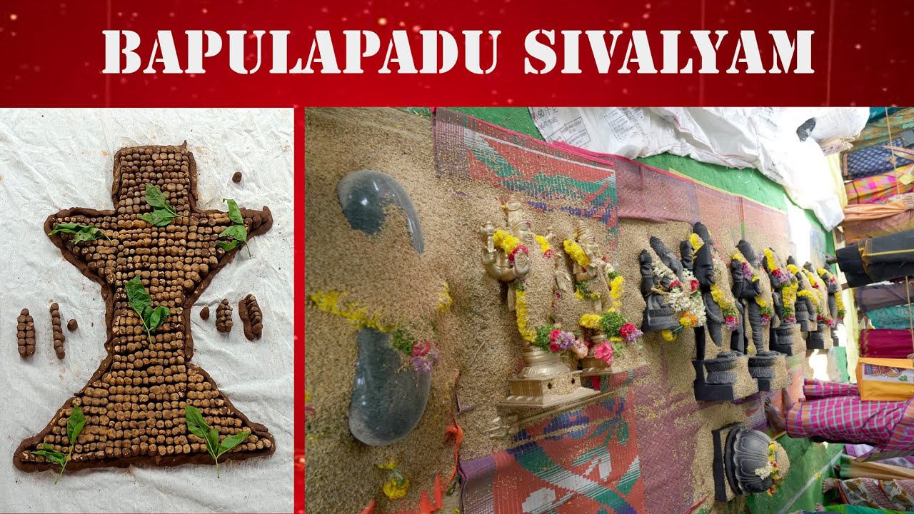 బాపులపాడు శివాలయం 18/11/2024 ఉదయం నూతన విగ్రహాలకు ధాన్యాదివాసము & సహస్ర లింగార్చన.BAPULAPADU