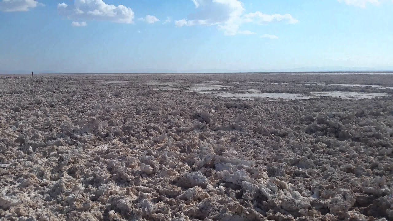 San Pedro de Atacama - Laguna Chaxa 1 - 2015