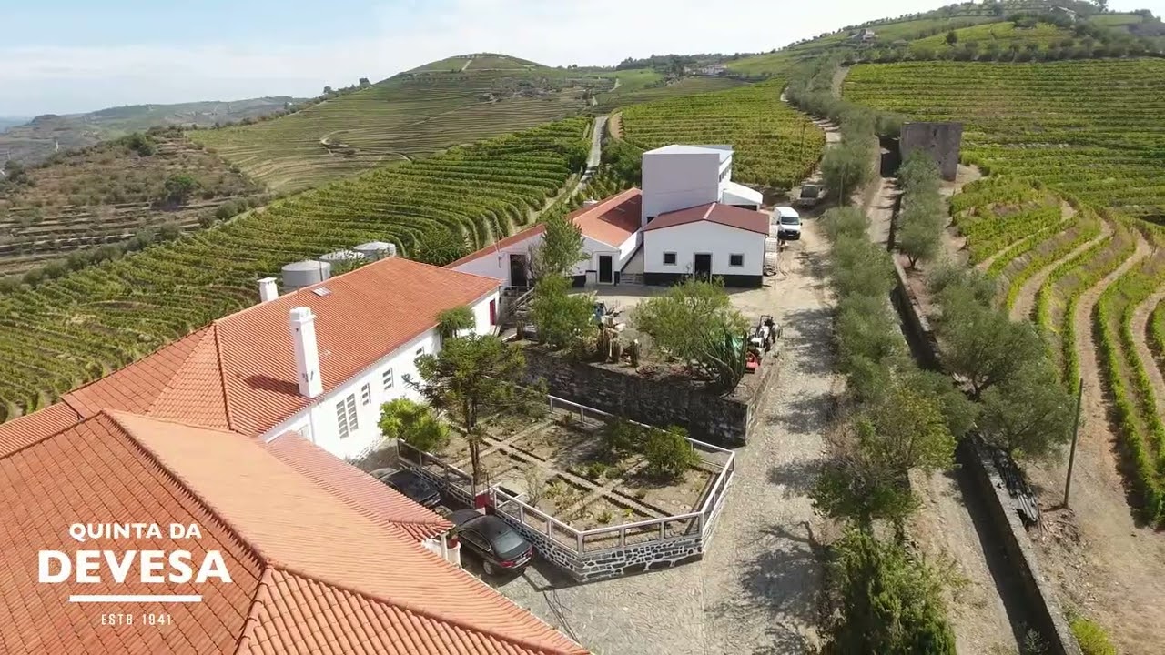 Introducing Quinta da Devesa