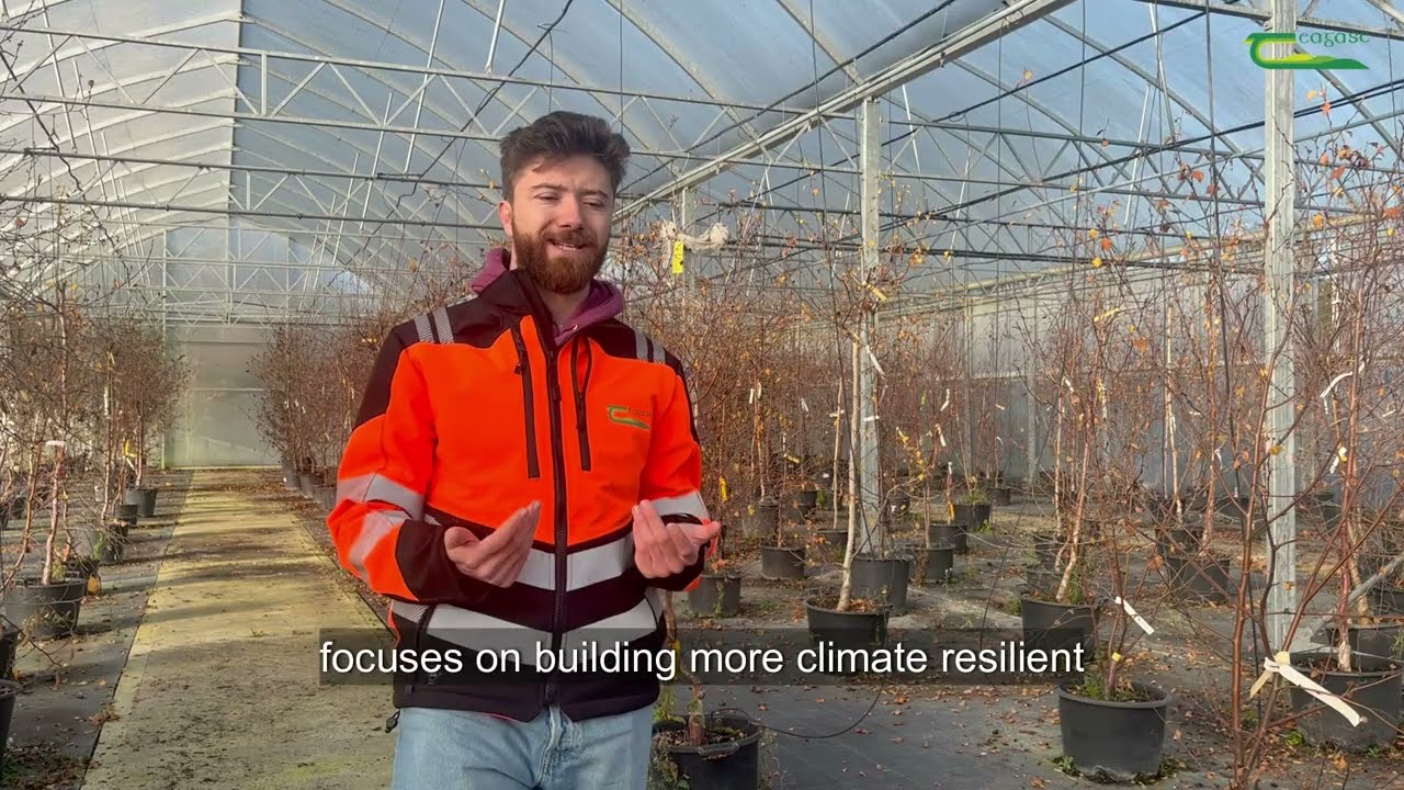 Adapt4Tree project - aims to develop climate-resilient, productive broad leaf forests in Ireland.