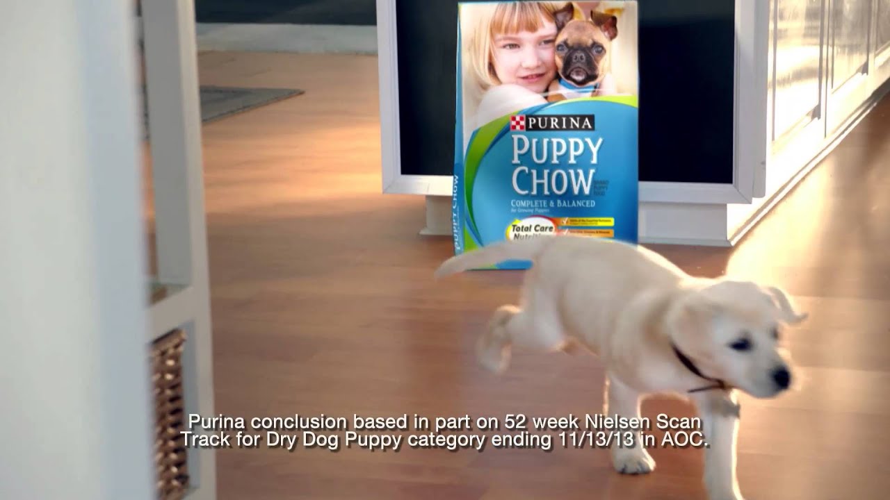 America's #1 Puppy Food - Purina® Puppy Chow® Commercial