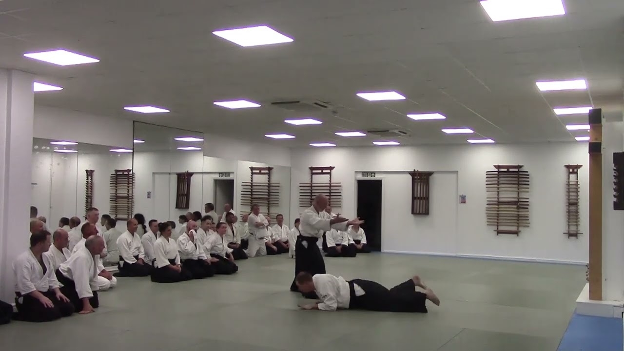 White Rose Aikikai - Riley Shihan 50 Years Celebration - 10/10/25 - Clip 16 - Mark Danford Sensei