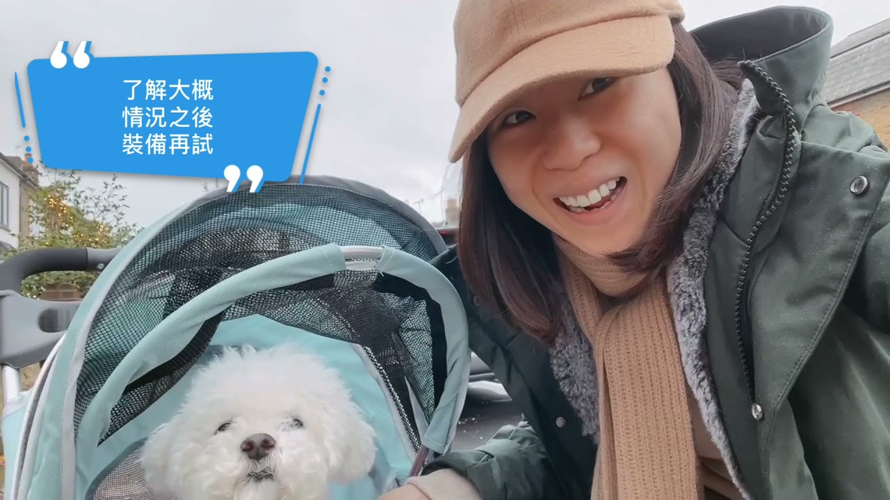 【🐶童顏熟狗女】移英｜英國有幾(唔？)pet friendly?｜邊啲地方🐶唔去得｜聖誕快樂🥰🎄