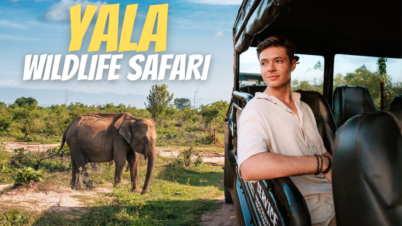 Unexpected Surprises on Our First Safari! | Yala National Park, Sri Lanka 🇱🇰