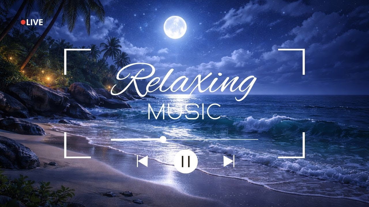 Calm Ocean Waves at Night 🌊 | Deep Sleep Ambient Sound (No Music) | #6