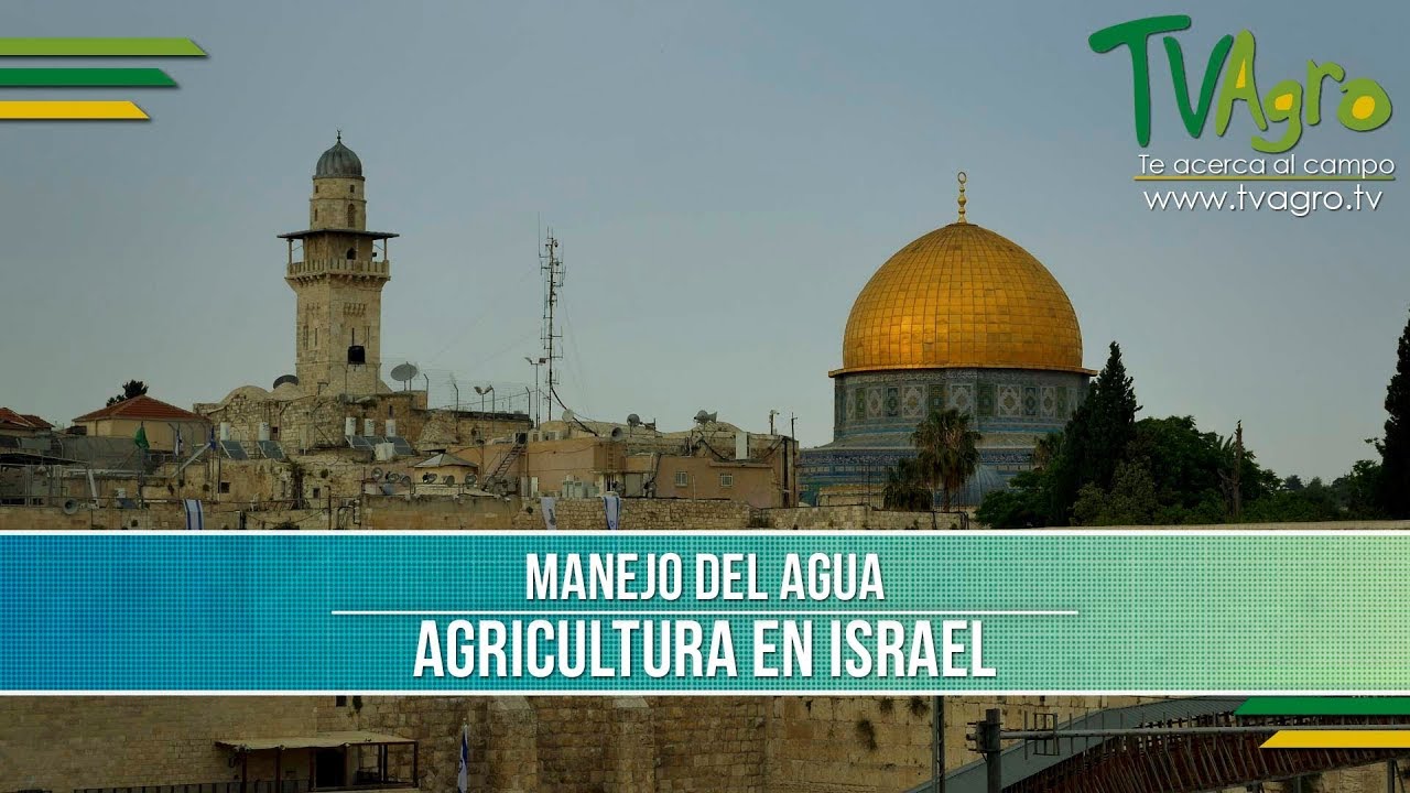 Sistemas de Riego por Goteo - TvAgro por Juan Gonzalo Angel