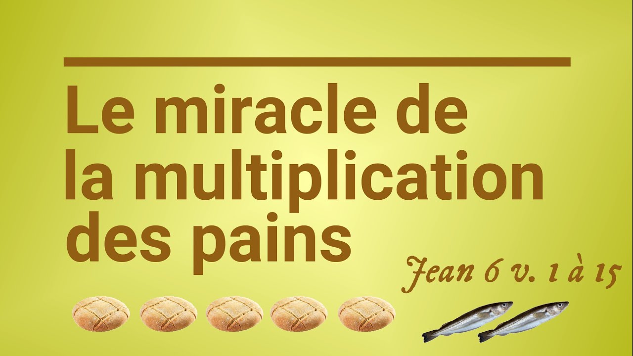 95 - La multiplication des pains (Jean 6 v. 1 &agrave; 15)