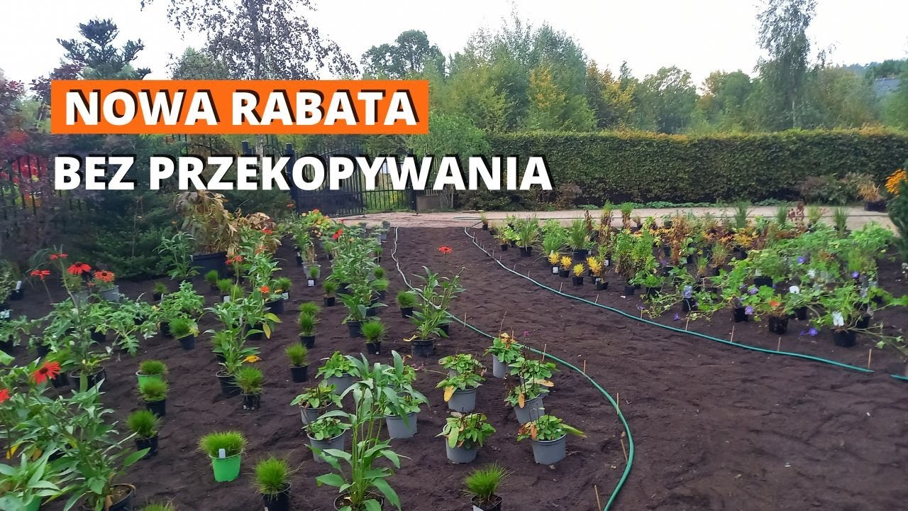 Nowa rabata. Bez przekopywania. Przygotowanie gleby. No dig.