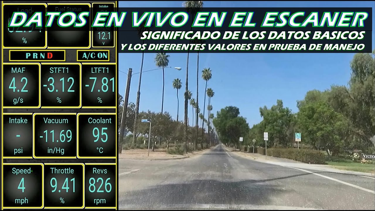 DATOS EN VIVO en el escaner... significado y los valores en prueba de manejo explicados