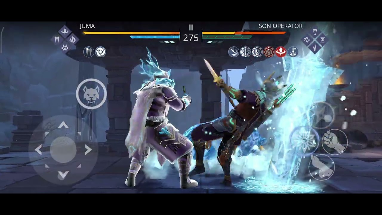 Shadow fight 3  