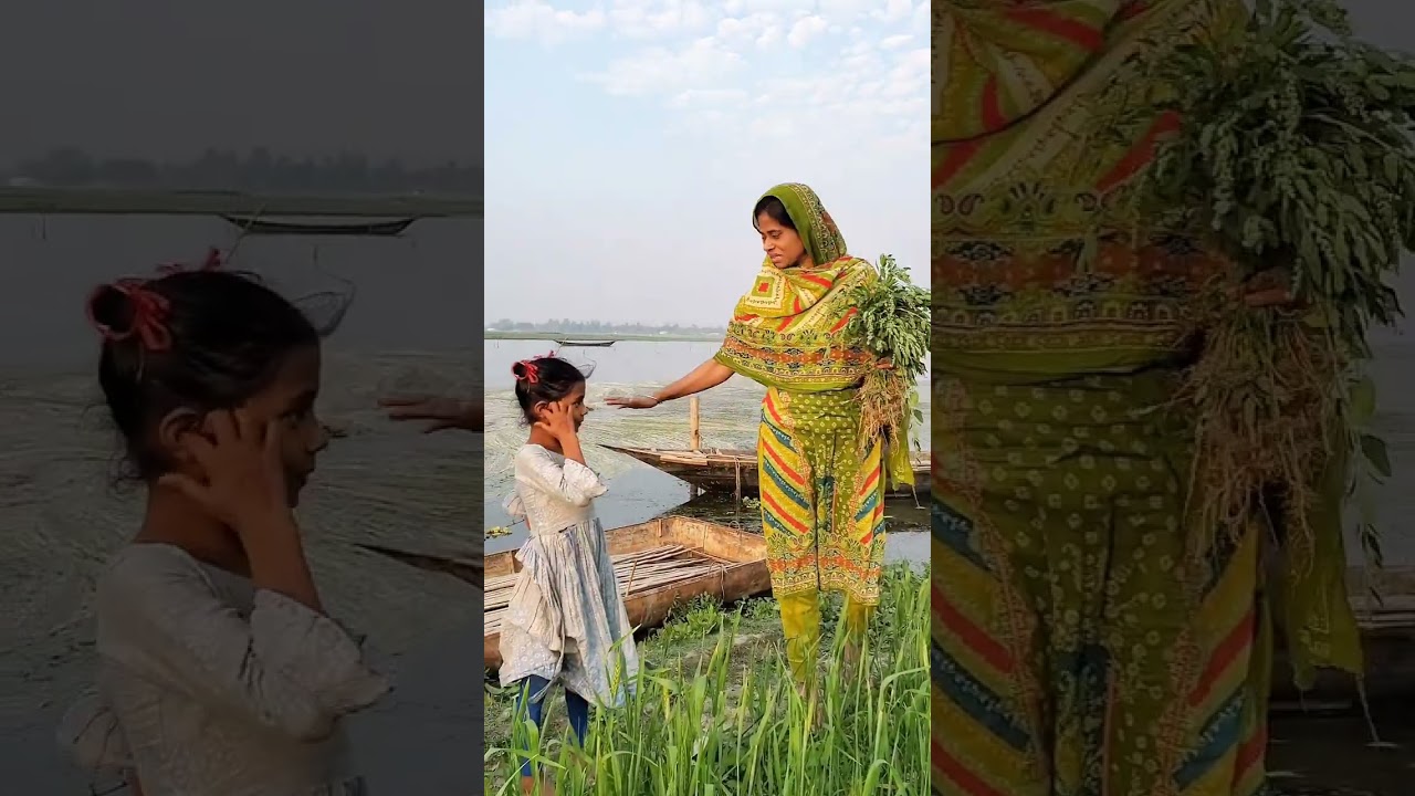 গুন খেতে শাক তুলি