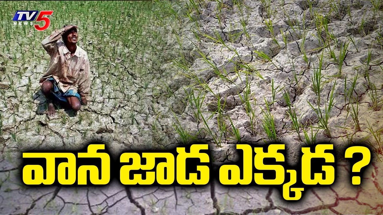 వాన జాడ ఎక్కడ ? | Rainfall Deficit - AP Farmers Concerned | Kharif Crop | TV5 News