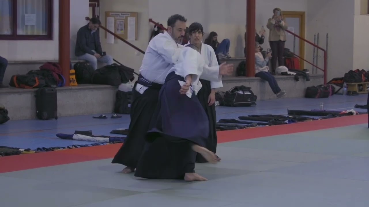 CURSO INTERNACIONAL AIKIDO TOLEDO 2025
