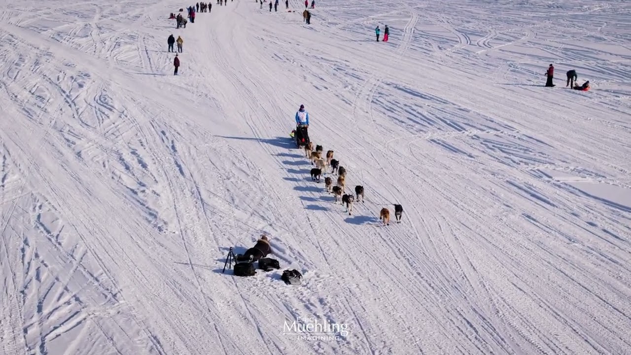 Iditarod Trail Sled Dog Race — The Start