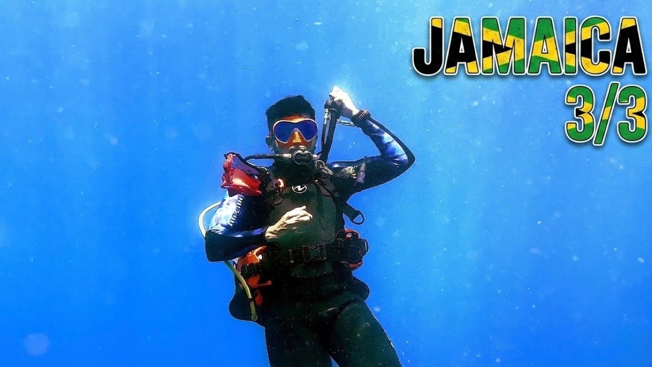 Gallery - 09/09/2025 - Negril - Jamaica🤿