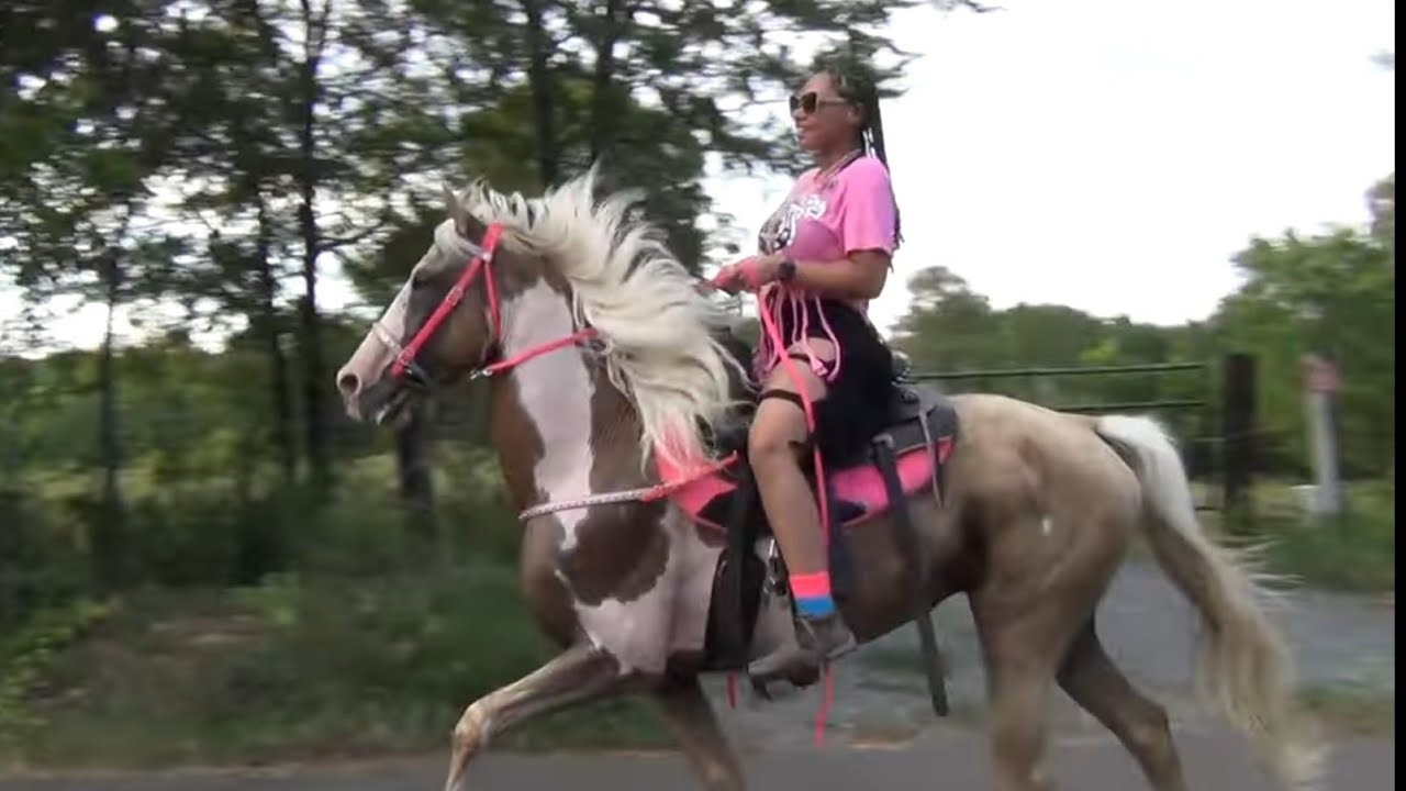 The COWGIRLS of HOOKS TEXAS RIDERS at 16th Annual Trail Ride