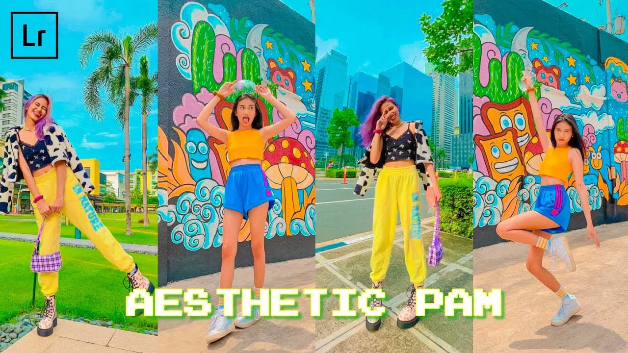 Aesthetic Pam Preset| @PamelaSwing inspired lightroom preset| Karl Eigenn
