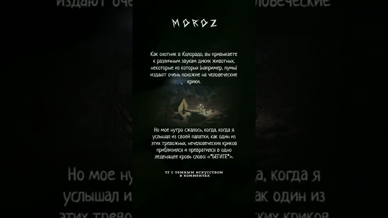 #история