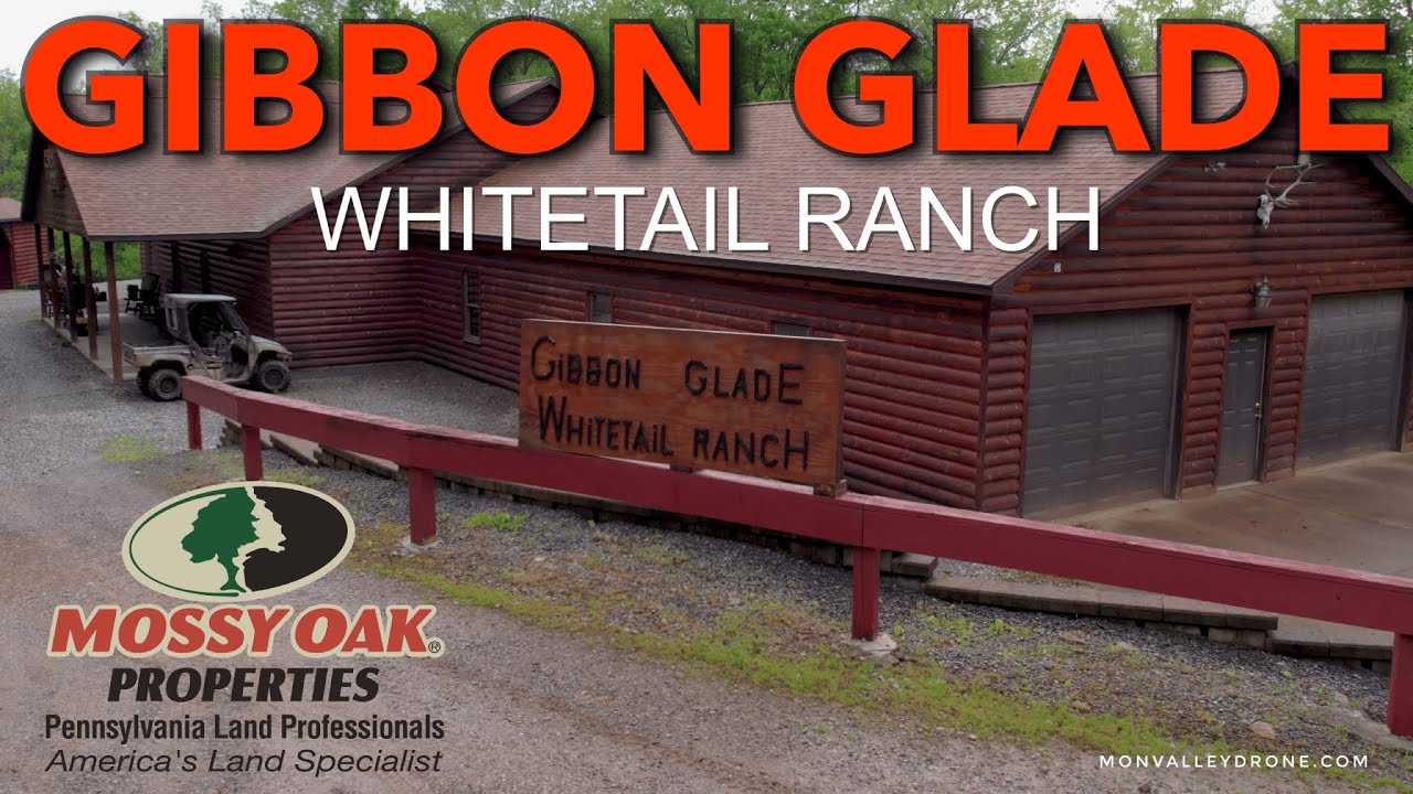 Mossy Oak Properties - Gibbon Glade Whitetail Ranch - Fayette County, Pennsylvania