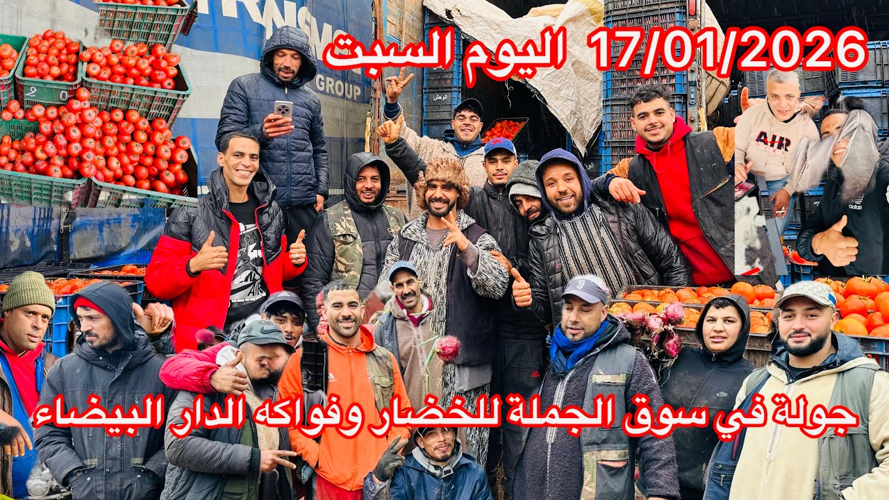 الأسعار اليوم 17 يناير 2026من سوق الجملة للخضر والفواكه بالدار البيضاء🍓🥦🥕🍋🫑🌶️🥭🍅🍏❤️