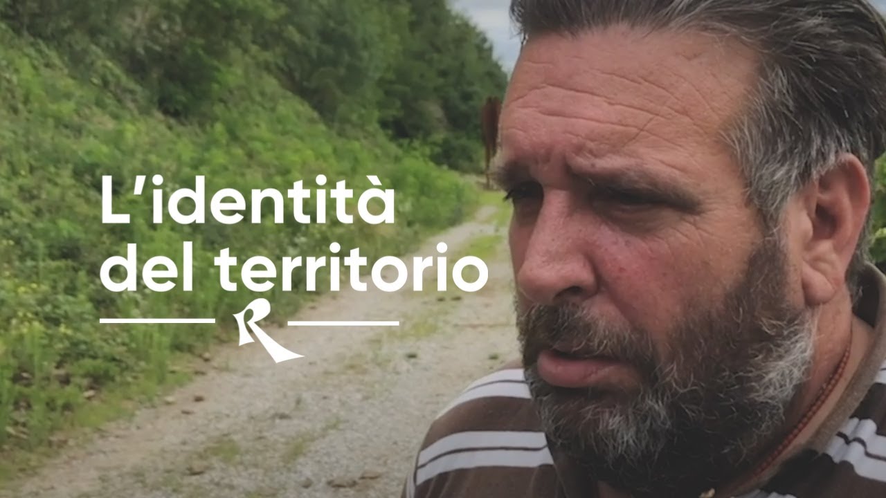 Fulvio Bressan - L'identità del territorio