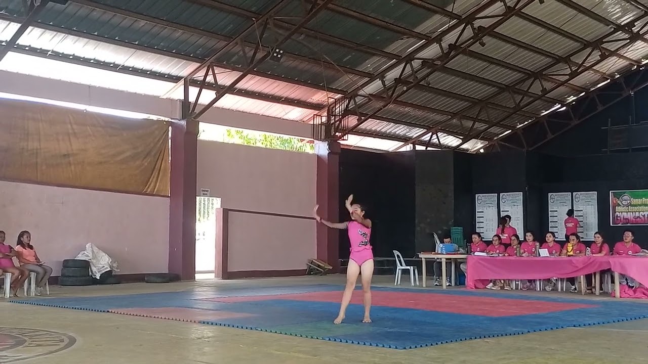 women's artistic gymnastics cluster 3