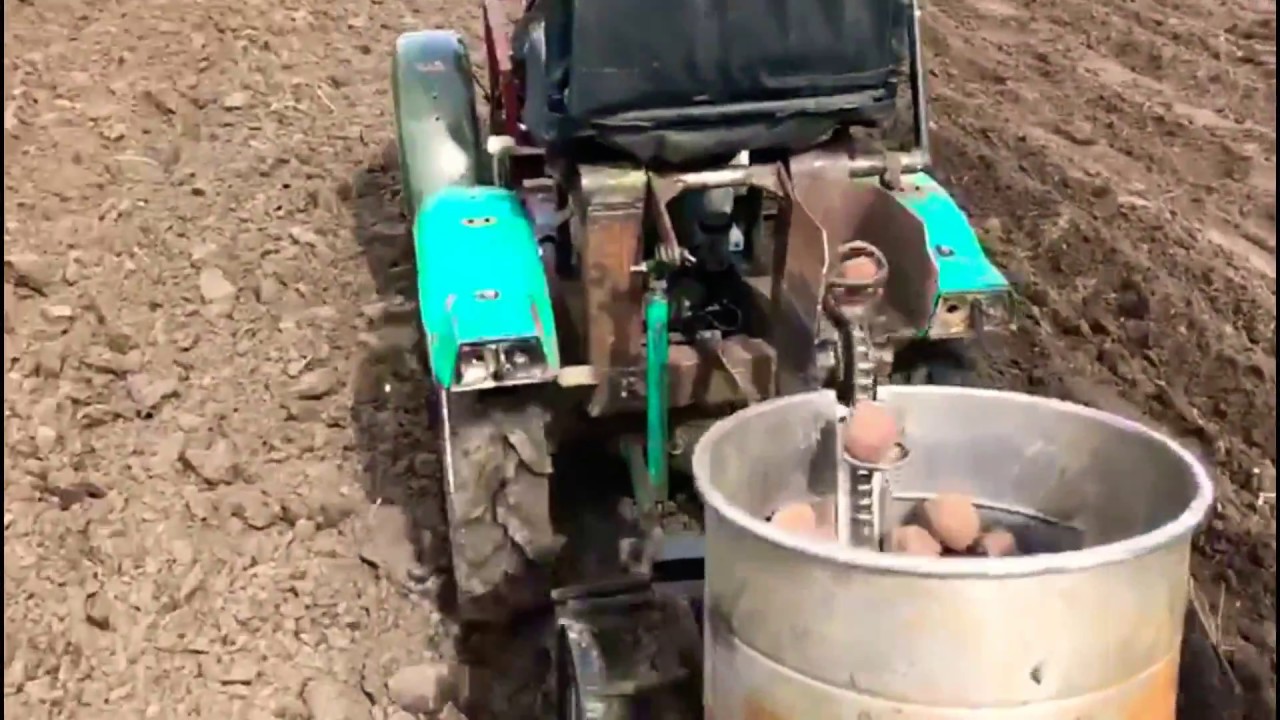 Посадка картофеля самодельной картофелесажалкой.