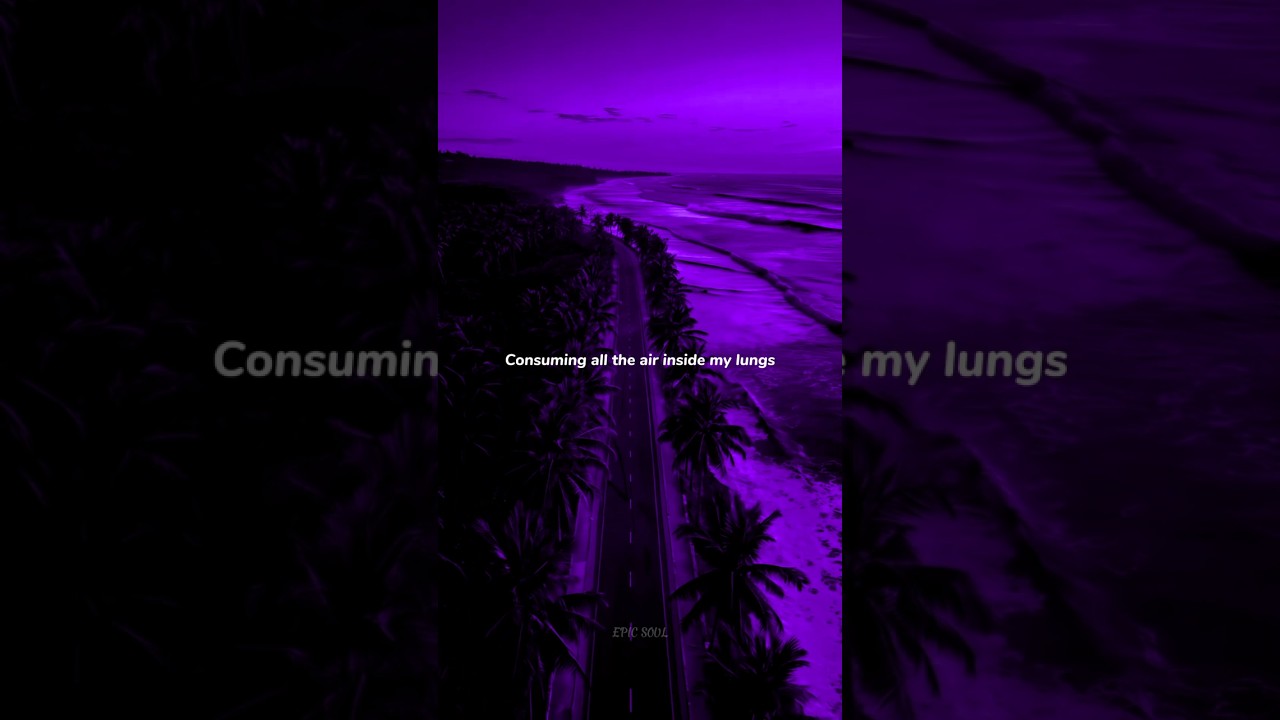 Mercy (lyrics) - Shawn Mendes | Aesthetic status | slowed | audio | 