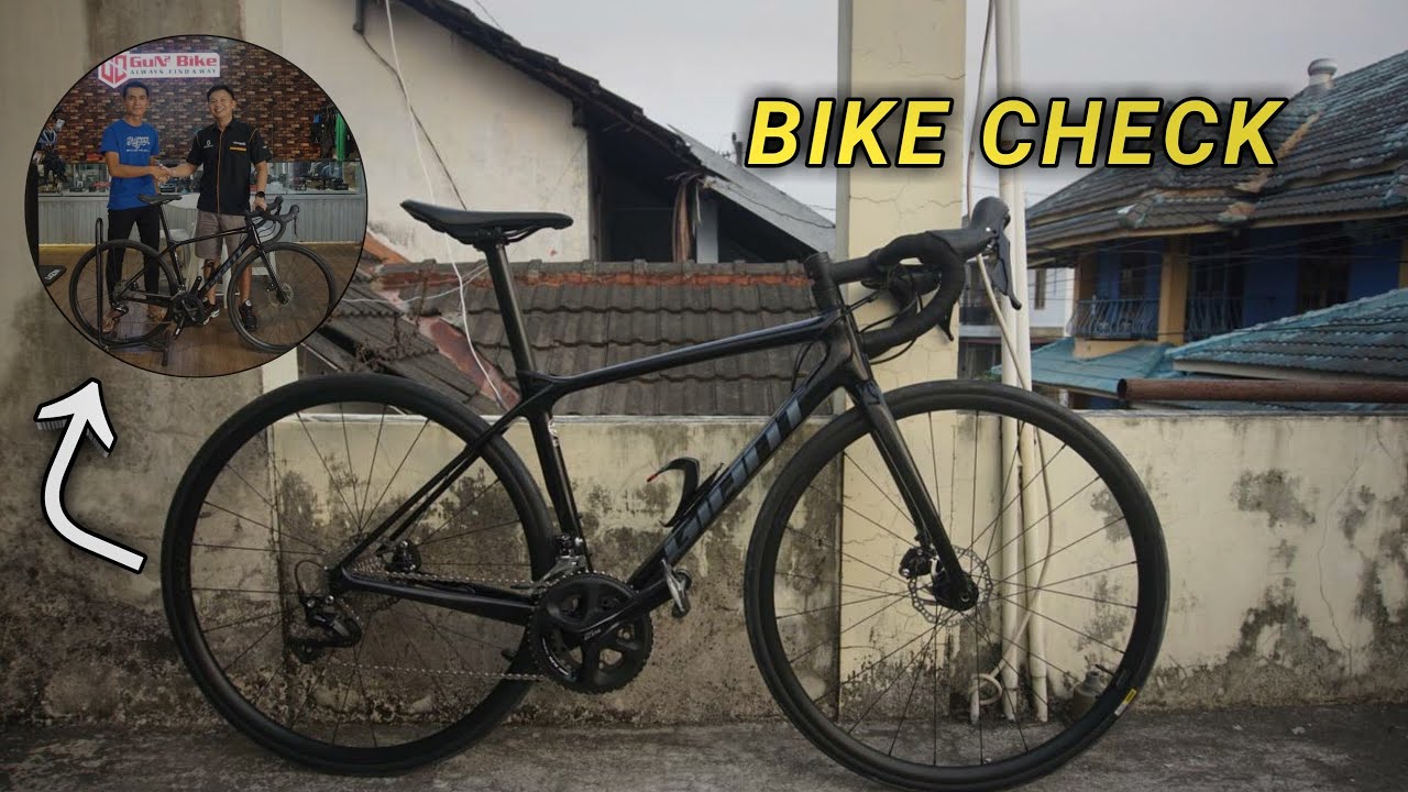 Bike Check Giant TCR Advanced 2 Disc Brake 2022