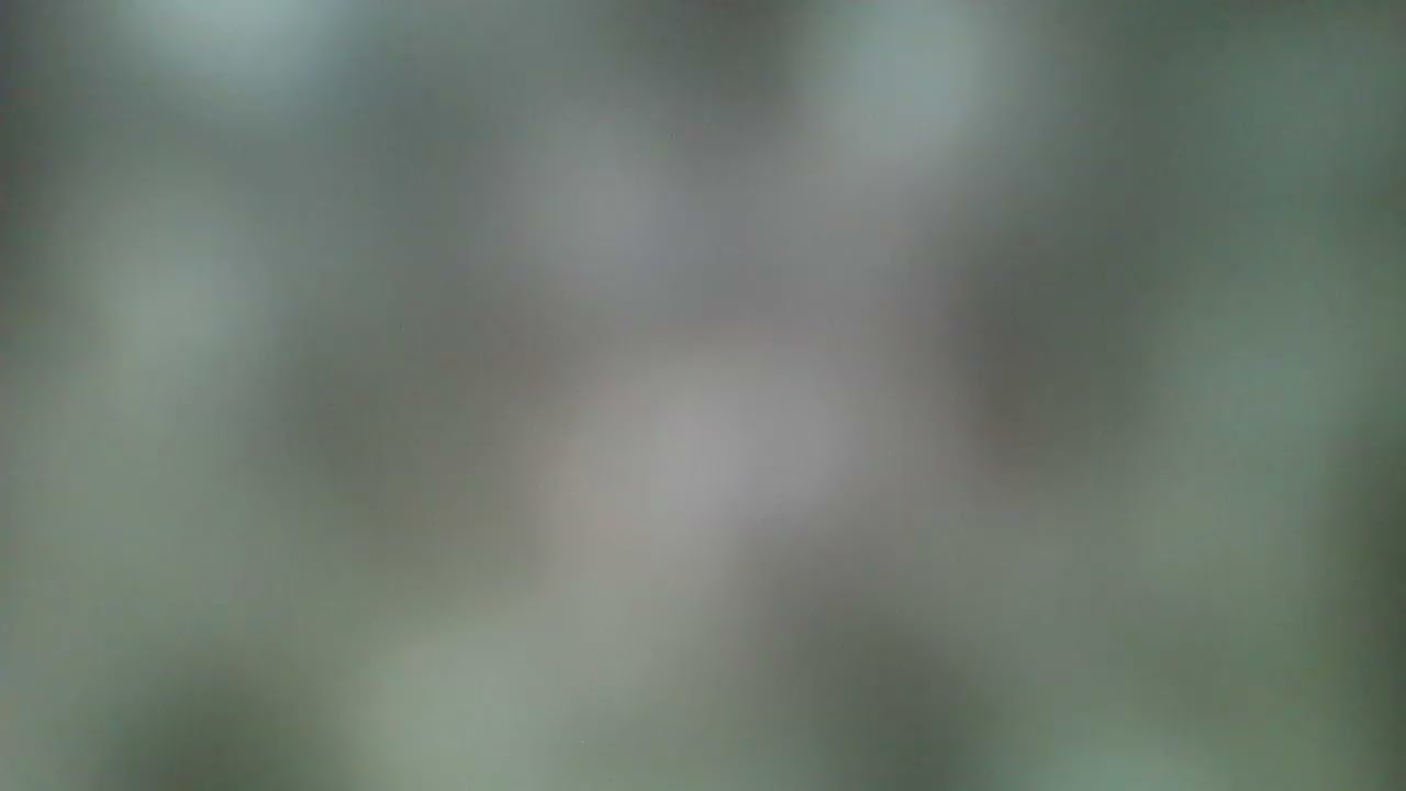 POR QUE O AMOR FALA MAIS ALTO  21/02/2026