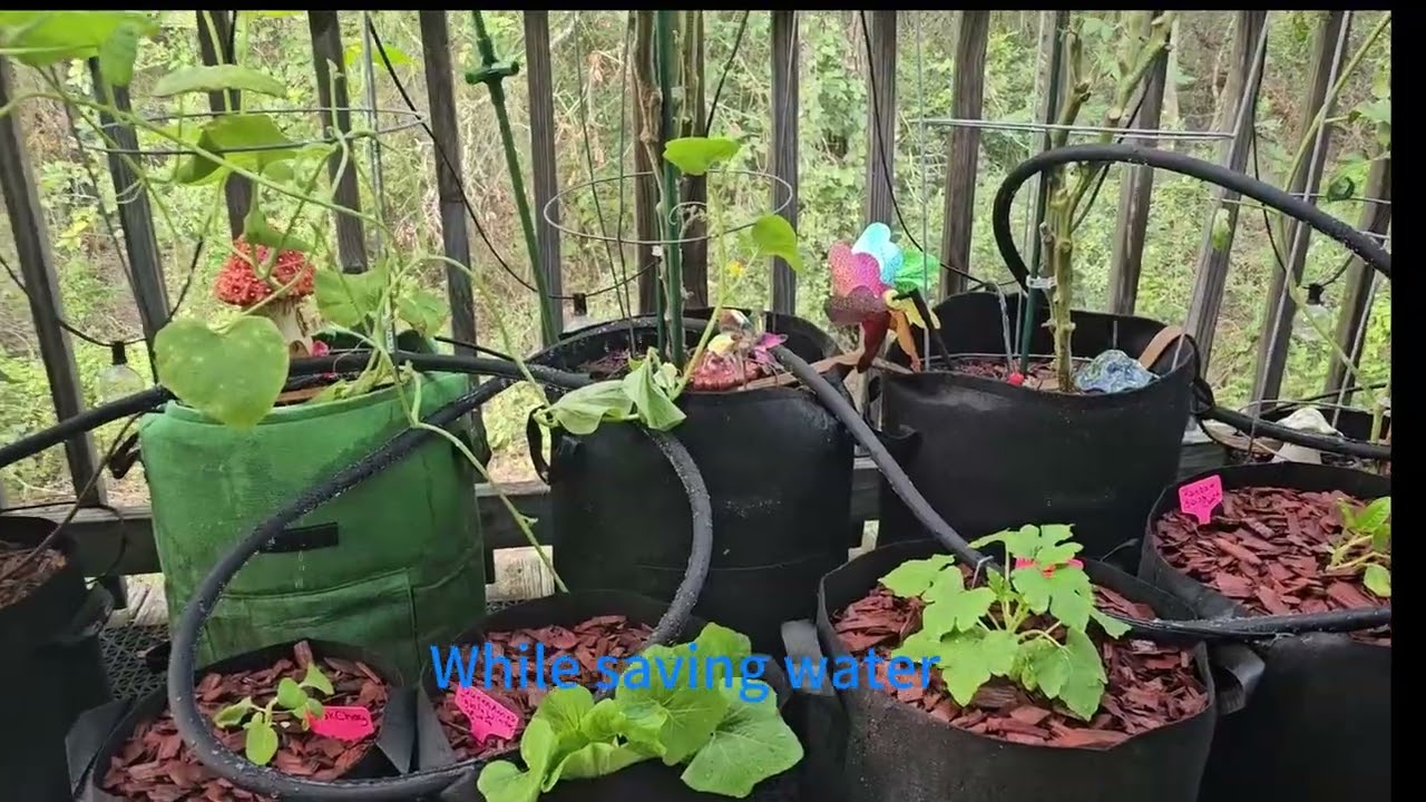 Mixc 2025-Thickened Flat Soaker Hose 100Ft with Copper Joint,Aluminum Seal,1mm Thickened Hose