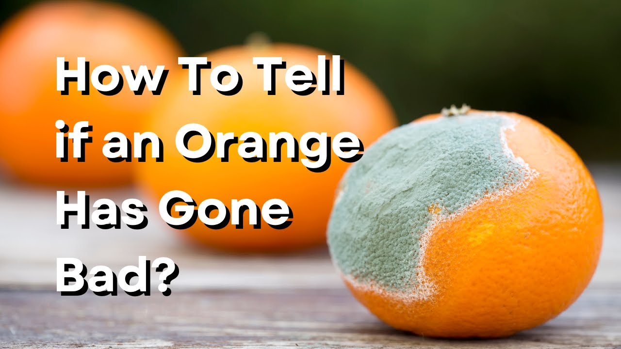 How To Tell if an Orange Has Gone Bad?