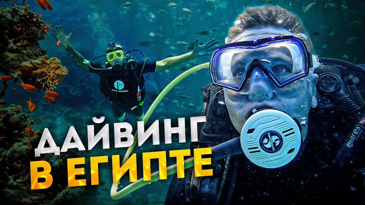 ЭТО СТОИТ УВИДЕТЬ! Дайвинг в Египте 2023 | Подводный мир КРАСНОГО моря #шармэльшейх #египет
