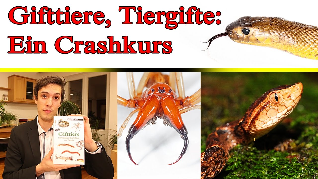 Gifttiere - ein Crashkurs Buchvorstellung