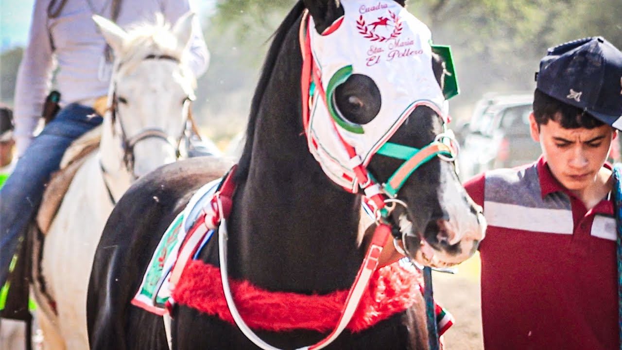 Que Hermoso Animal | El Imperio Vs La 701, Carril La Tira Durango Méx.