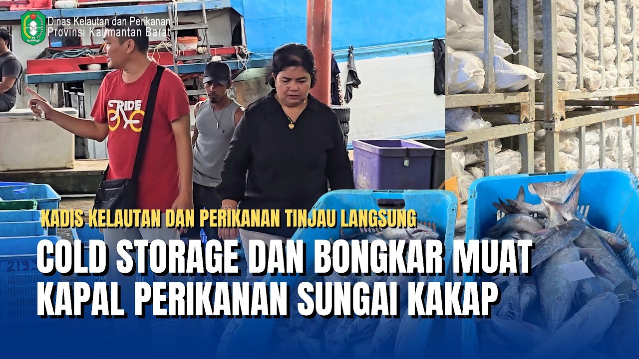 Monitoring Kapal Perikanan di Sungai Kakap: Kadis DKP Kalbar Turun Langsung ke Lapangan