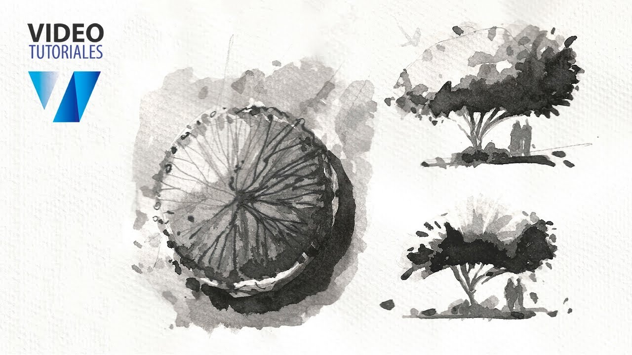 TINTA AGUADA: Árbol en Planta y Alzados