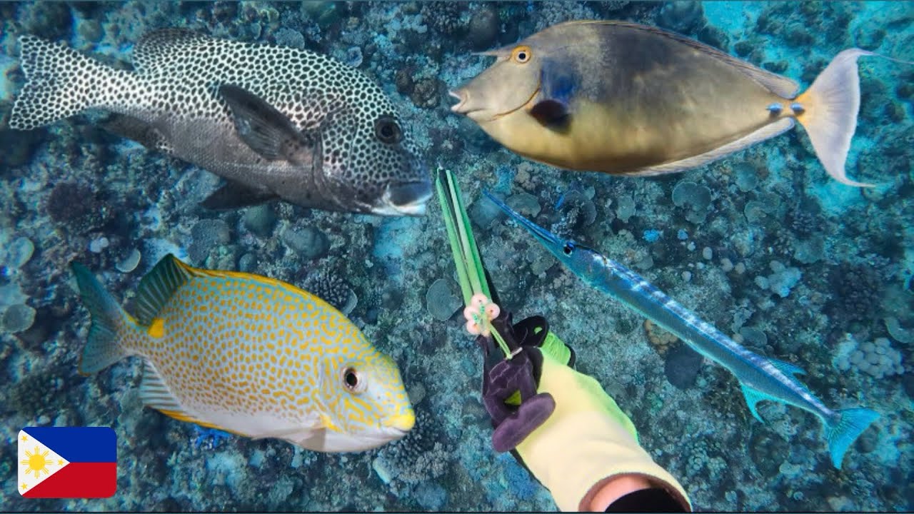 SPEARFISHING PHILIPPINES 🇵🇭 FIRST TIME SA BAGONG SPOT BLESSING #spearfishingphilippines #vlog