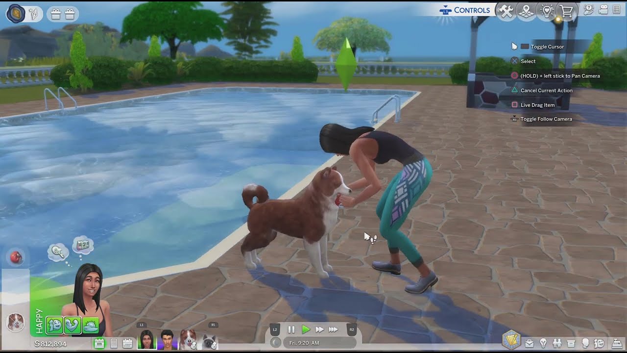 Biscuit can swim in the pool for a you! The Sims 4 