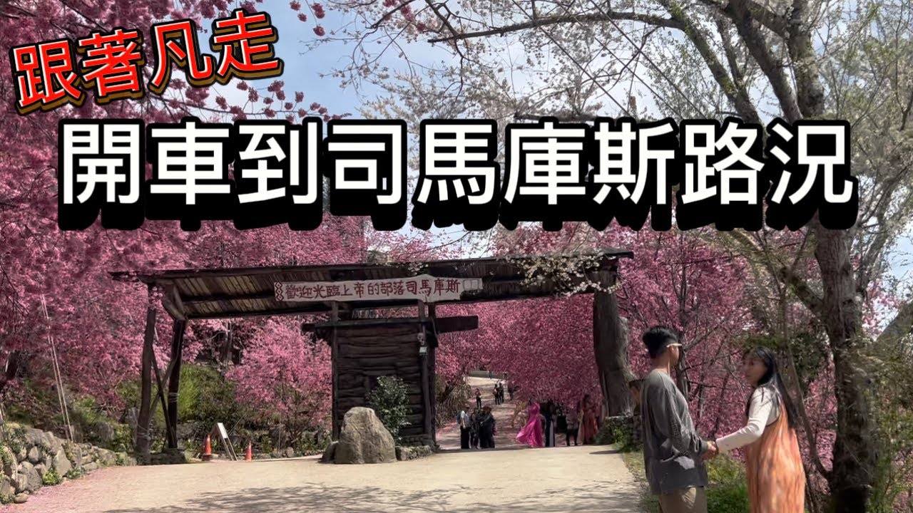 跟著凡走開車到司馬庫斯最新路況 ｜FOLLOW FanZou #vanlife#車泊 #車宿 #車中泊#跟著凡走#轎車車泊#四門轎車旅行#旅行#司馬庫斯 #櫻花