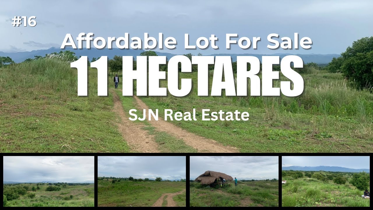 Super Cheap & Affordable Farm Lot For Sale || 11 Hectares || #16