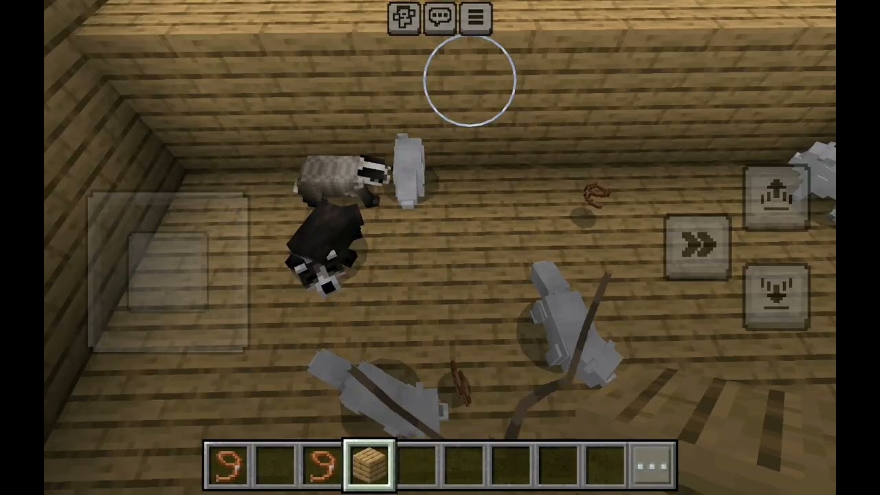 Noah's Ark race with 100 arctic foxes vs 100 badgers
