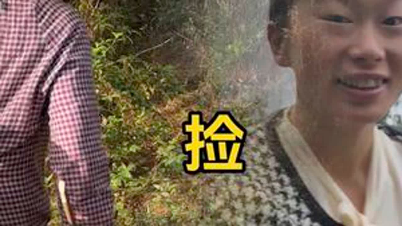 找菌子去咯，一座山头，猜猜我今天遇到了几个人。#捡菌子 #见手青 #新农人计划2025 #我的乡村生活 #记录大山里的农村生活