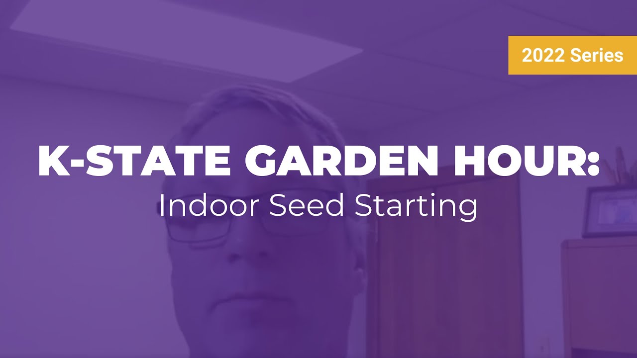 K-State Garden Hour: Indoor Seed Starting