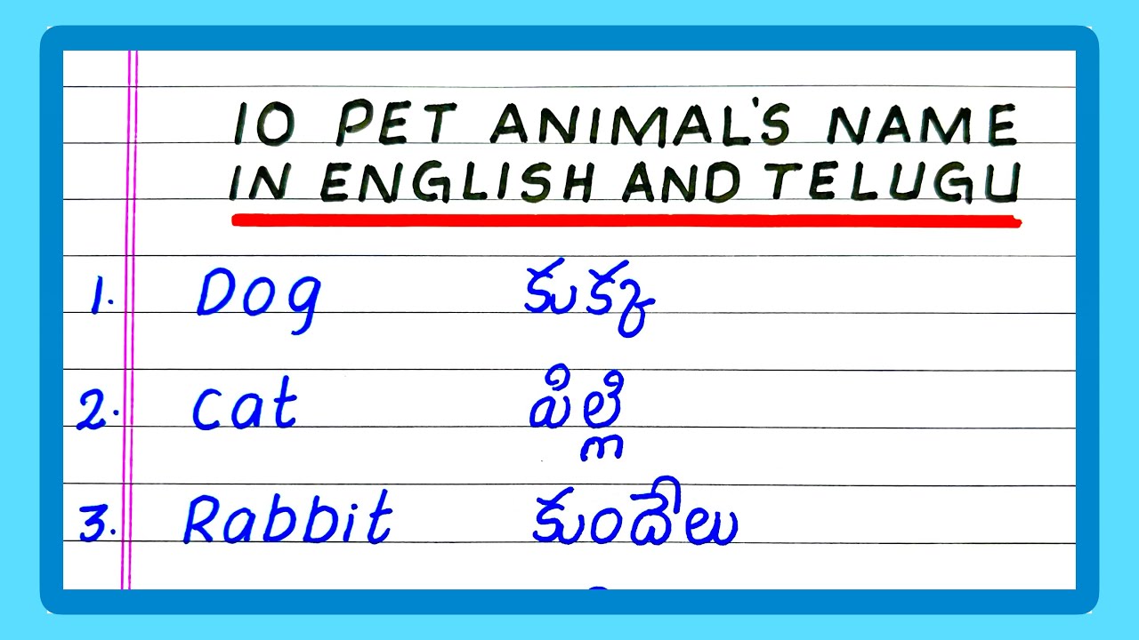 Names of Pet Animals in Telugu | Pet Animals Name in English and Telugu