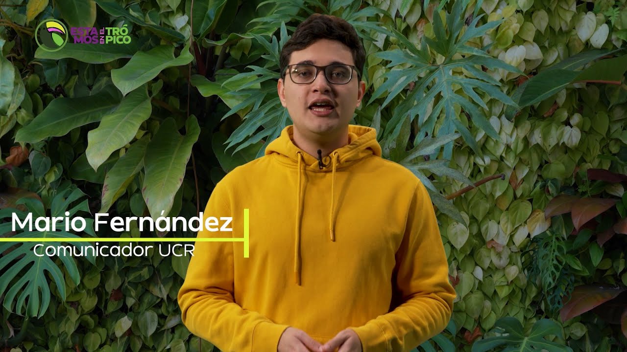 Estamos en el trópico: Leche Materna