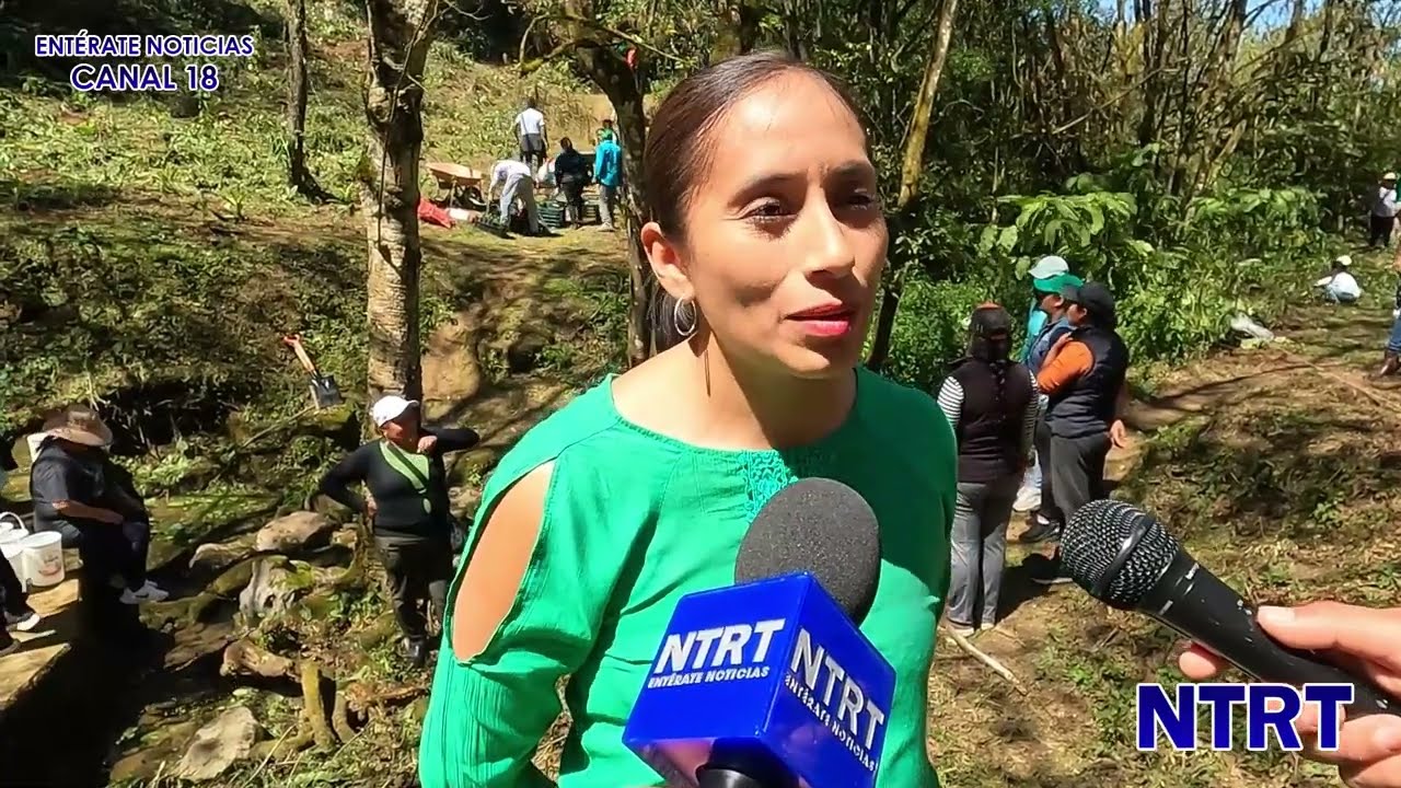 Ciudadanos Participan en Jornada de Reforestación en Zacapoaxtla organizada por el Partido Verde