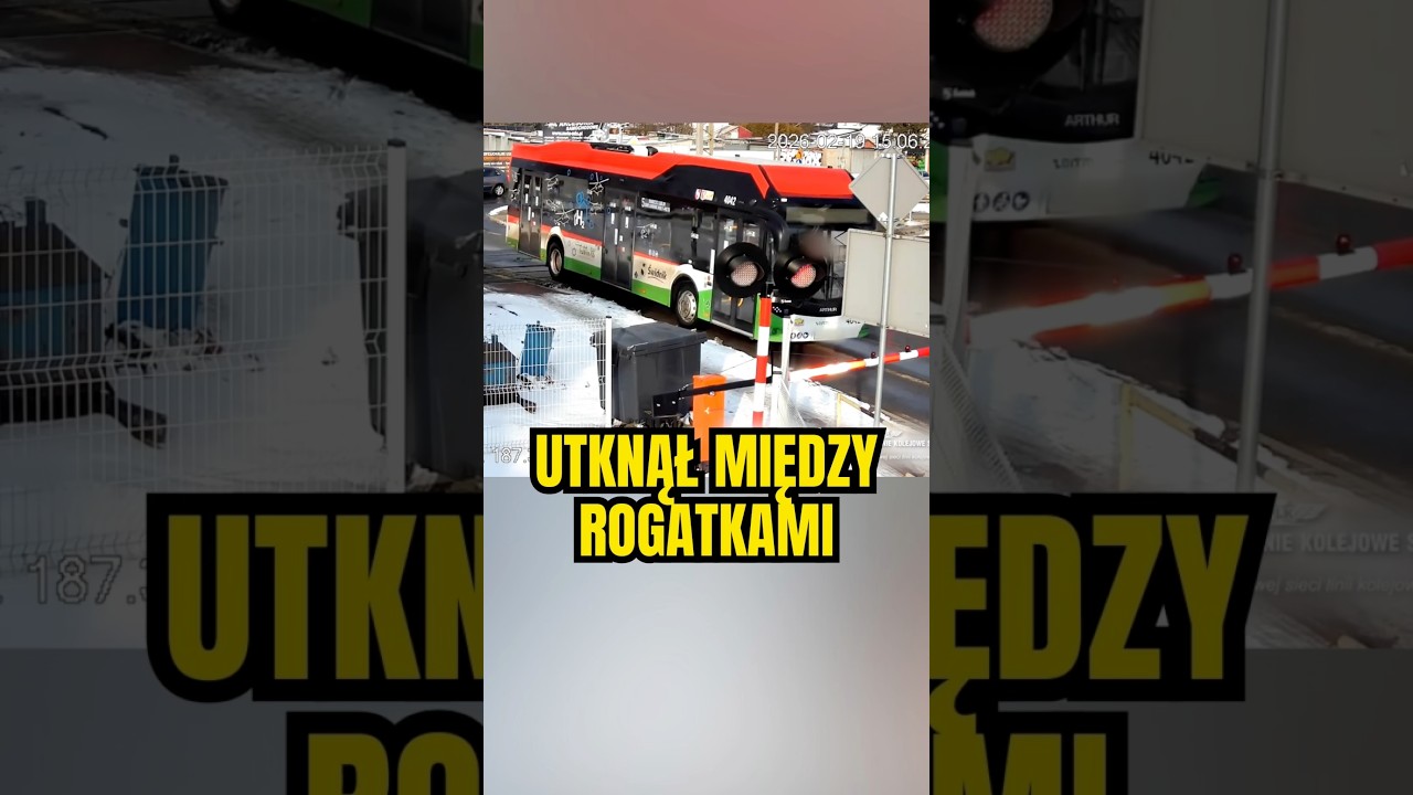 Autobus miejski między rogatkami na przejeździe kolejowym #swidnik #policja #autobus #polskiedrogi