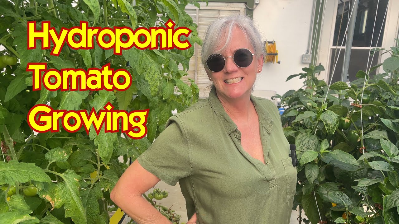 Transforming a Lettuce Greenhouse into Tomatoes